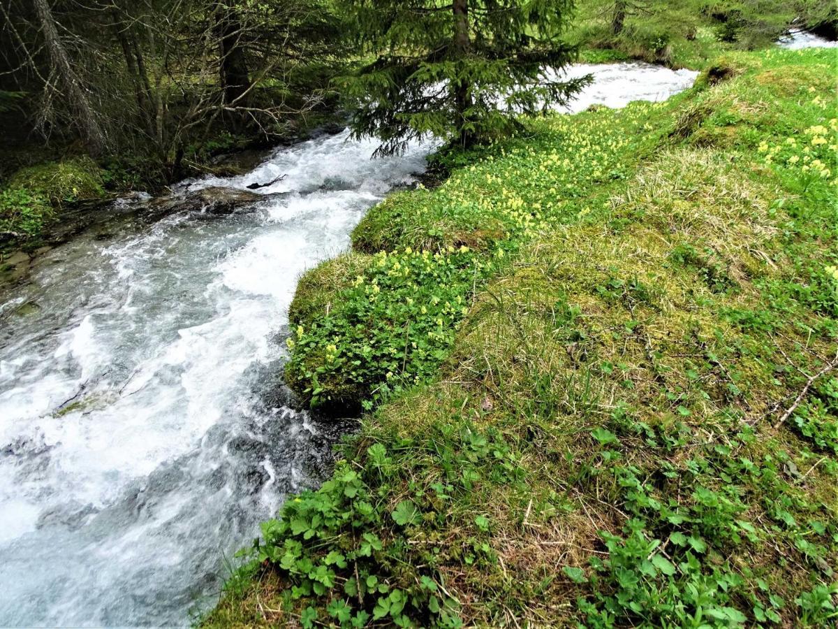 Gaestehaus Geir Daire Obernberg am Brenner Dış mekan fotoğraf